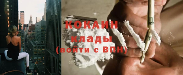 2c-b Бородино
