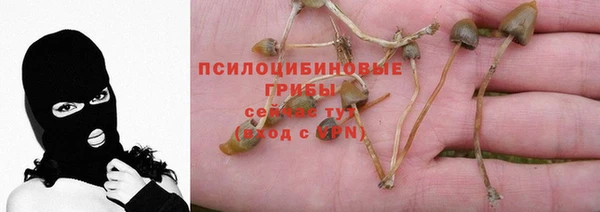 spice Бронницы