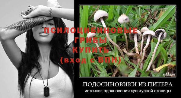 spice Бронницы