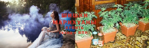 2c-b Бородино