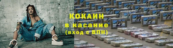 2c-b Бородино
