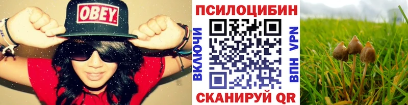 Галлюциногенные грибы Psilocybine cubensis Можайск